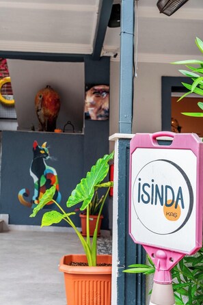 A colorful cat painting, a potted plant, and a sign with 'ISINDA KAS' on a building facade. - İsinda Pansiyon (Kaş)