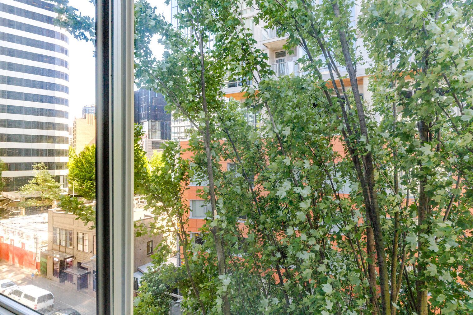 A view through a window of a cityscape with buildings, trees, and a clear sky.