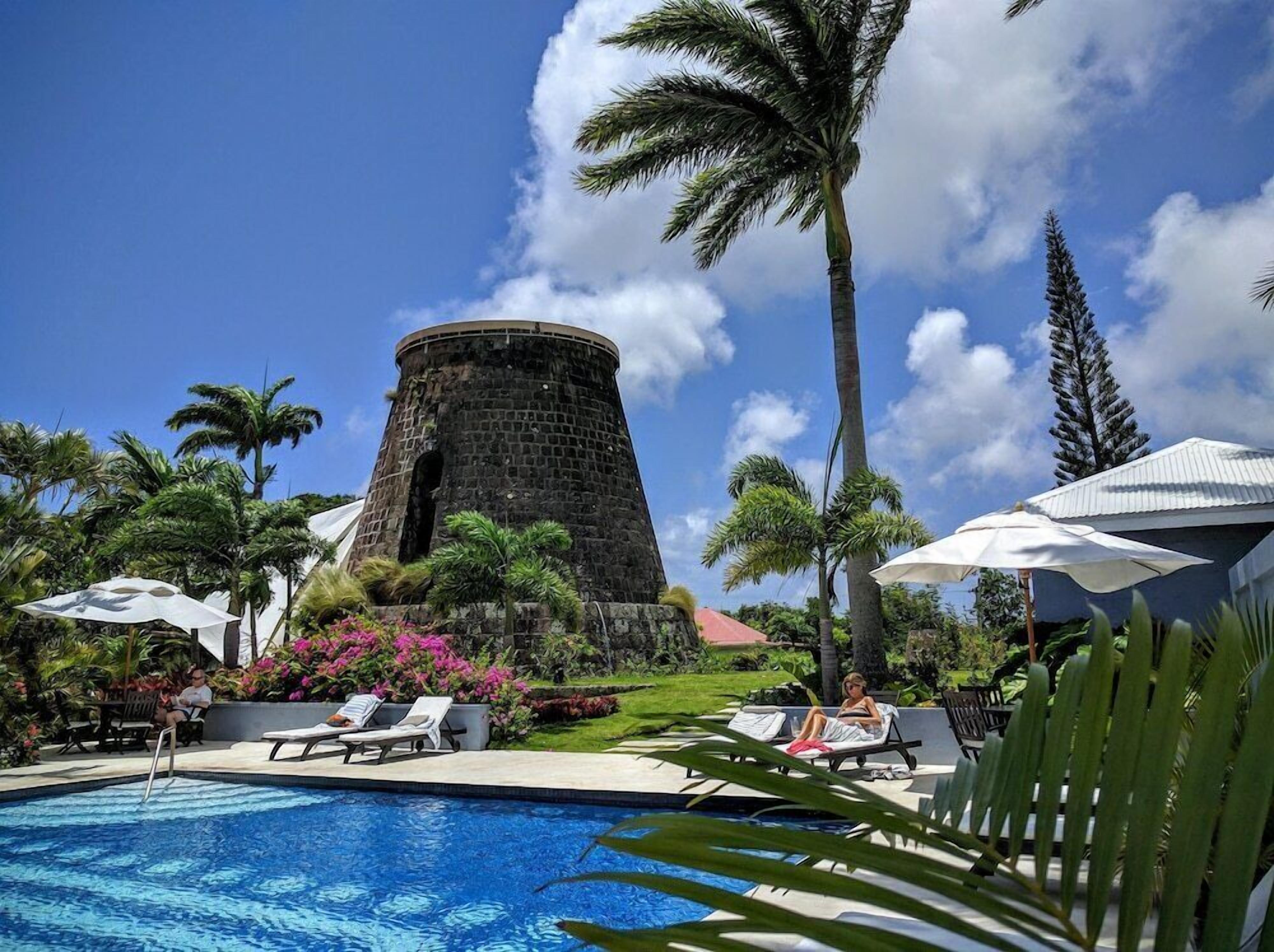 A pool area with lounge chairs, a palm tree, and a stone structure.