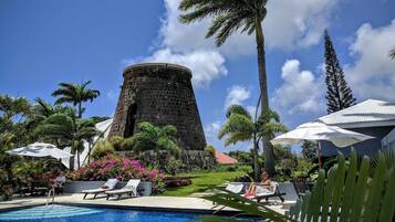A pool area with lounge chairs, a palm tree, and a stone structure.