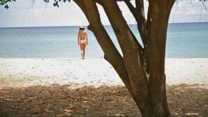 Escena de playa con una persona caminando alejándose de la cámara, árboles en primer plano y un mar tranquilo al fondo.