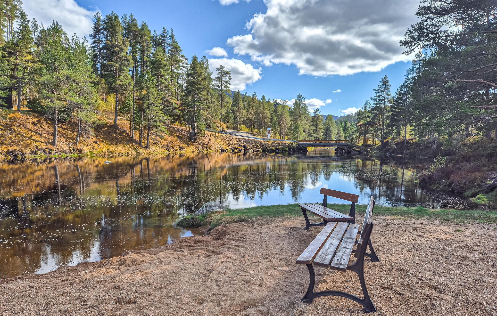 Un banc au bord d’une rivière paisible, avec des arbres et un pont en arrière-plan.