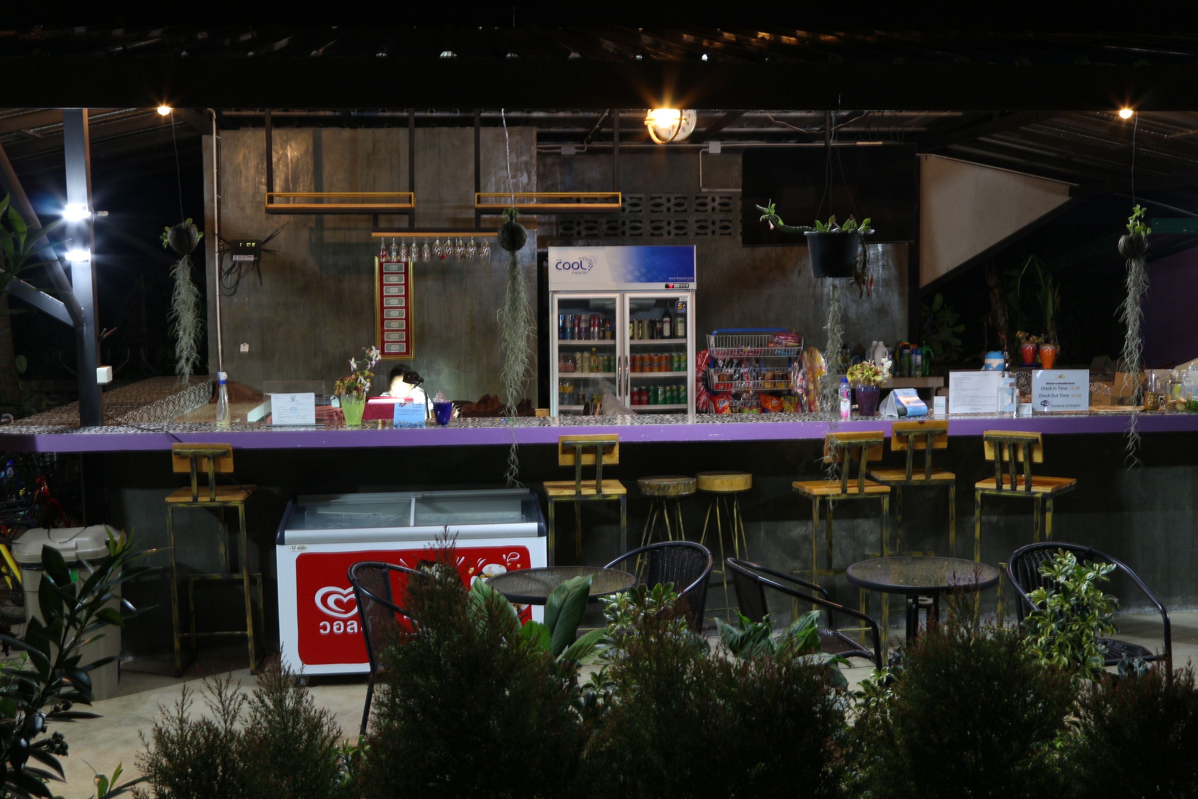 Zona de bar con refrigerador, asientos y plantas colgantes.