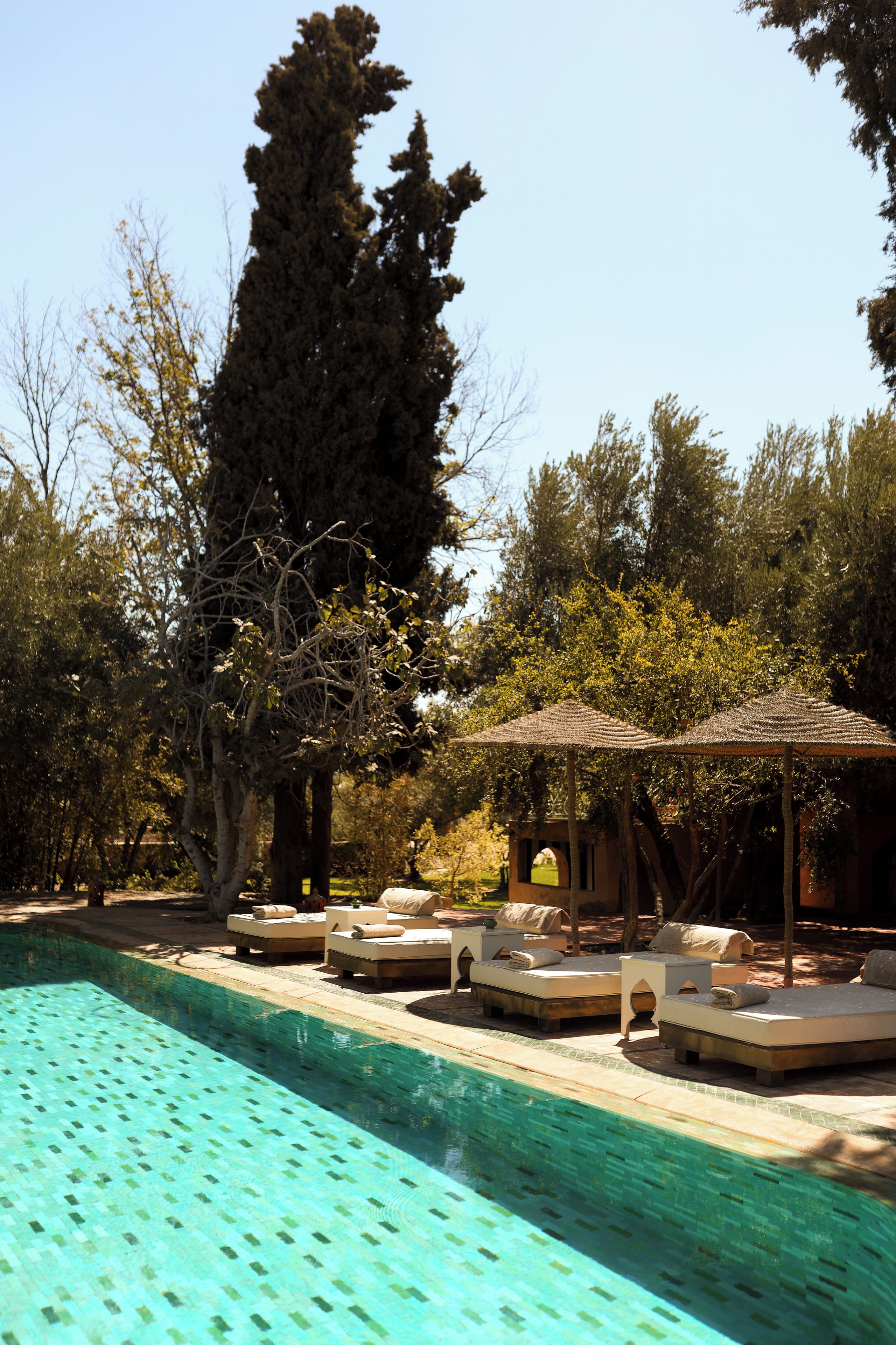 A swimming pool with lounge chairs and umbrellas, surrounded by trees and a clear sky.