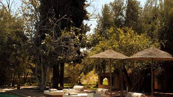 A swimming pool with lounge chairs and umbrellas, surrounded by trees and a clear sky.