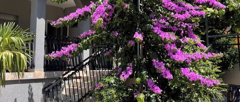 A building with a staircase, a balcony, and a large flowering tree.