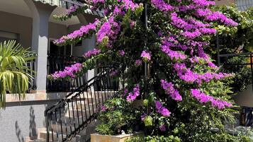 A building with a staircase, a balcony, and a large flowering tree.