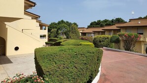 A residential area with neatly trimmed hedges, a paved walkway, and houses with tiled roofs.