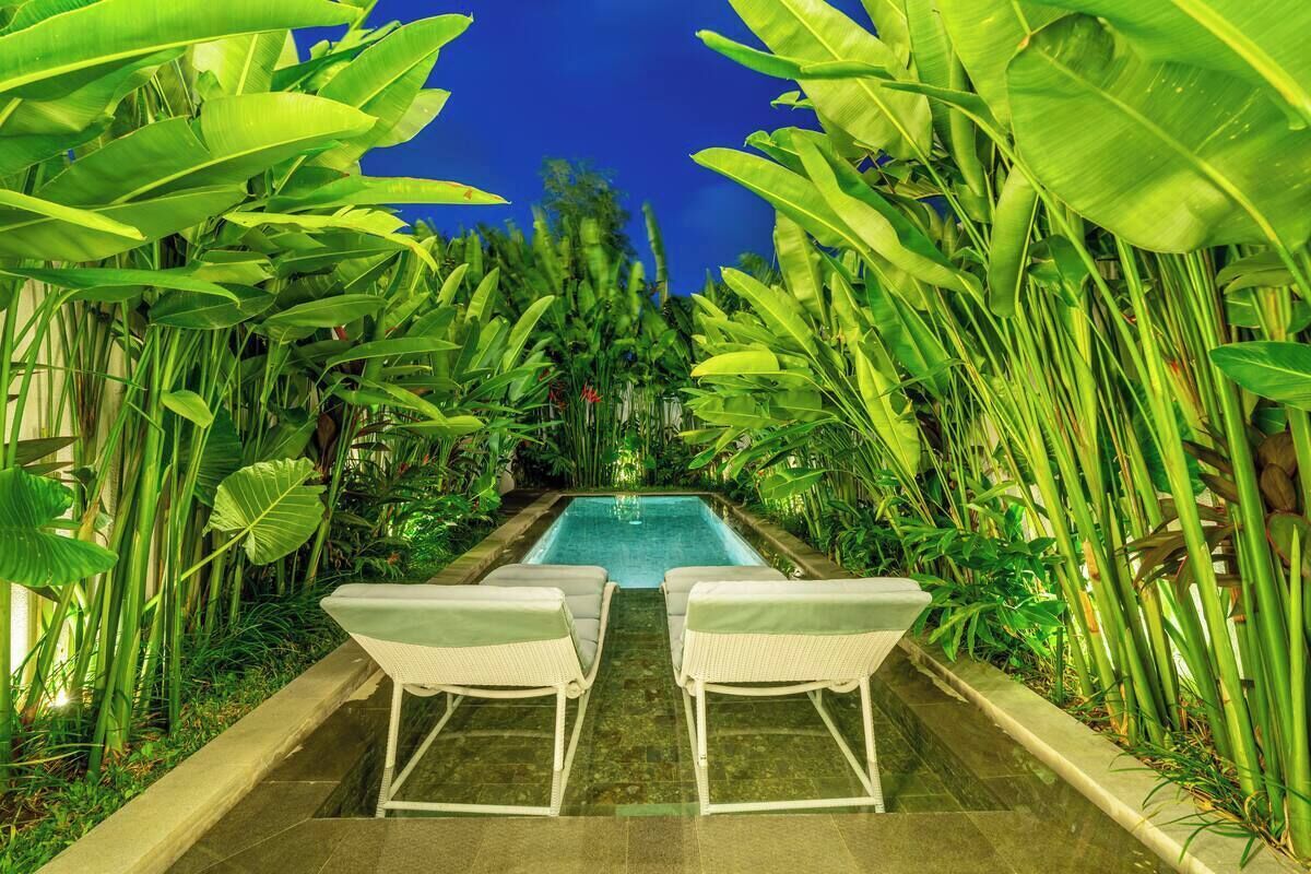A pool with two lounge chairs, surrounded by lush tropical plants.