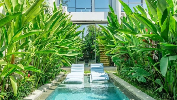 Una piscina con sillones de descanso, rodeada de exuberante vegetación tropical.