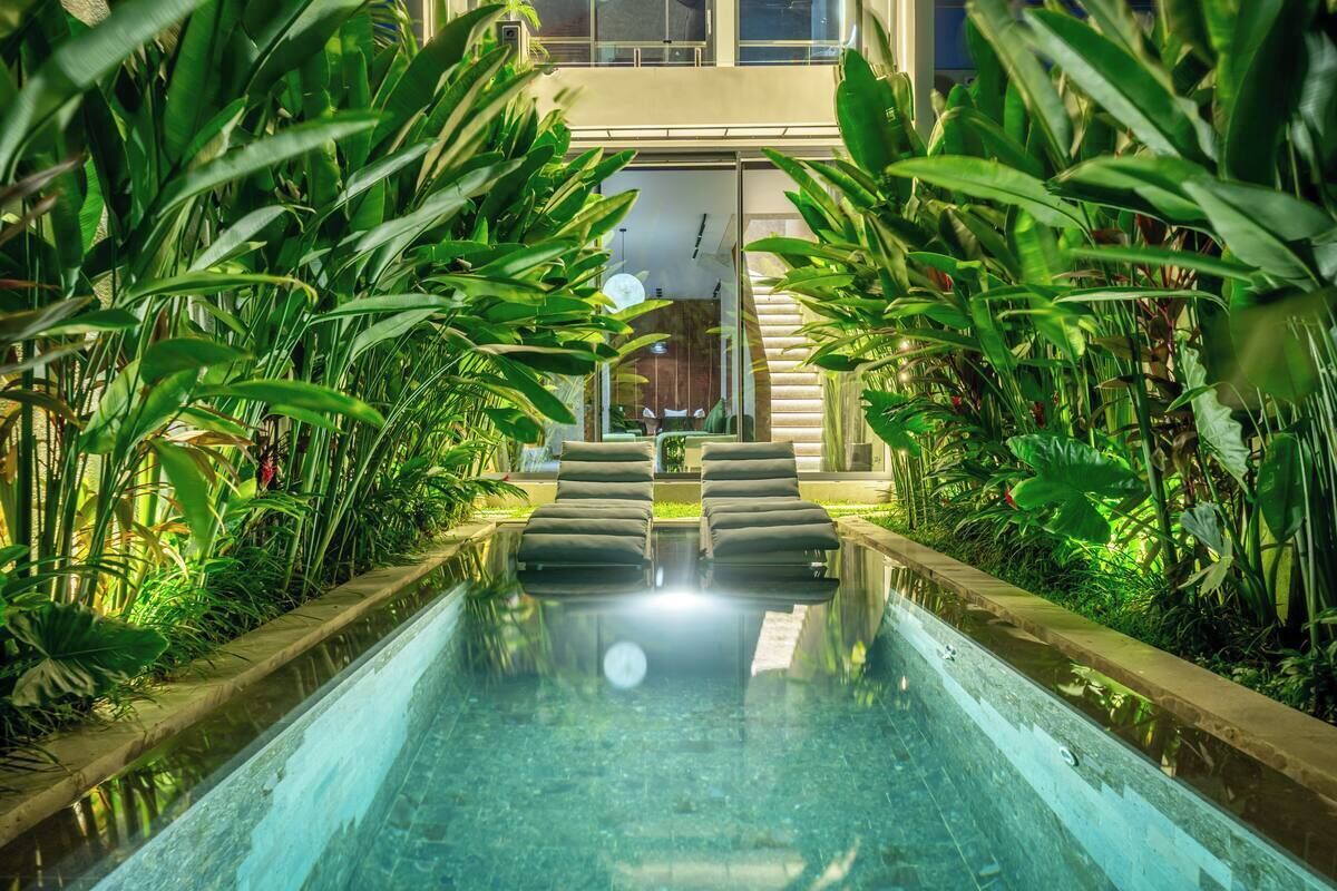 Une piscine entourée de chaises longues, le tout baigné d’une végétation luxuriante.