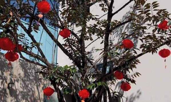 A tree with red flowers and a building in the background.