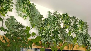 Een kamer met een groot aquarium, witte luiken en groene planten.