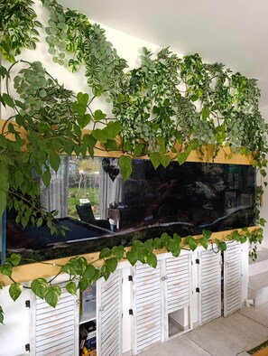 A room with a large aquarium, white shutters, and green plants. - Charming air-conditioned villa in the vineyards, close to the beach (Roquefort-la-Bédoule)