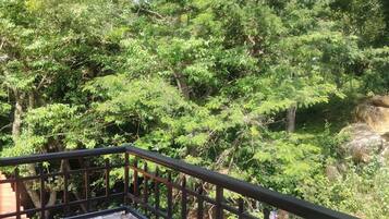 A balcony with a metal railing overlooking a dense green forest.