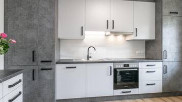 Fridge, oven, stovetop, dishwasher