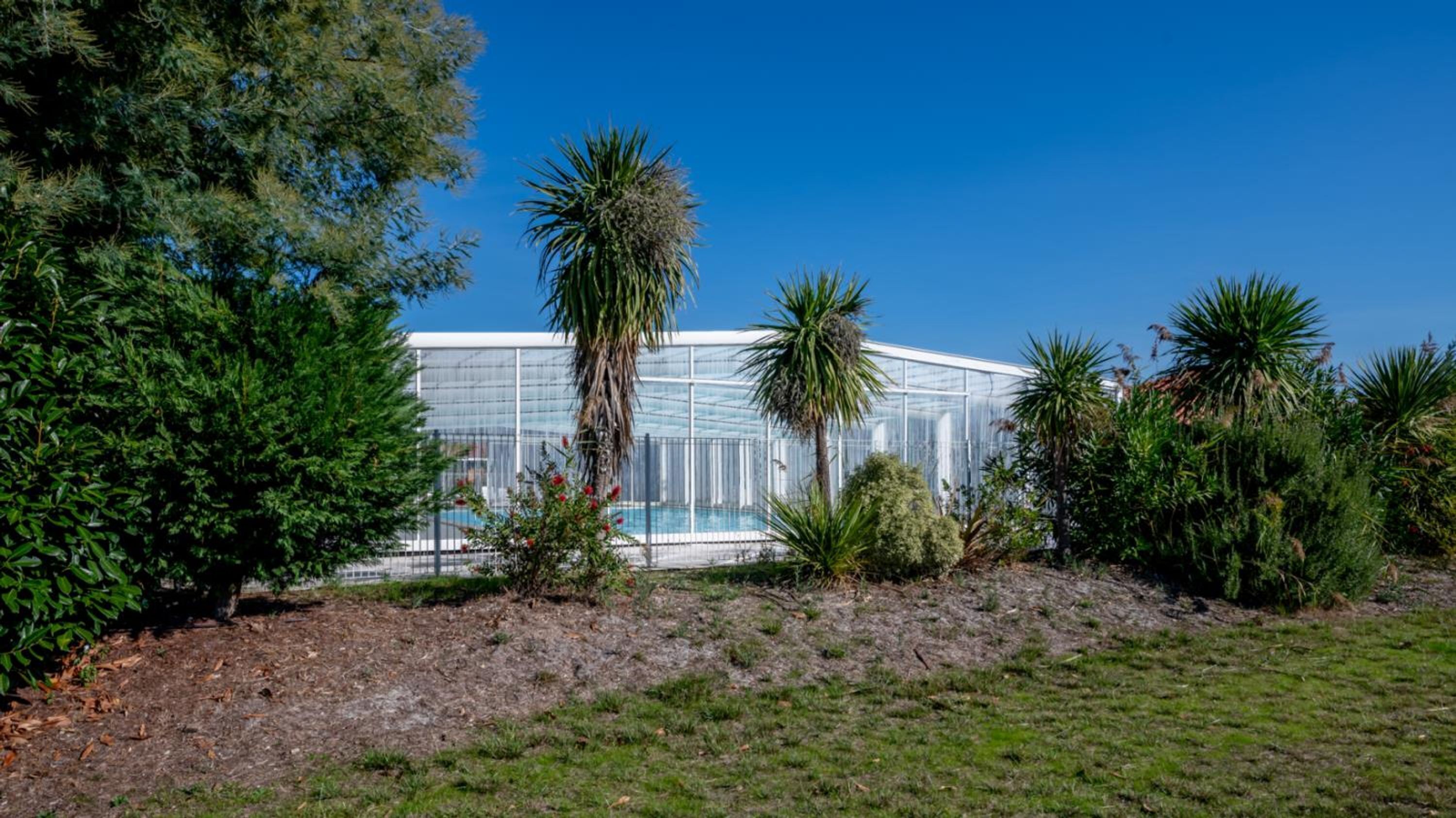 Ein Gewächshaus mit Pool, umgeben von verschiedenen Pflanzen und Bäumen.