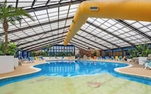 An indoor swimming pool with a glass ceiling, lounge chairs, and tropical plants. - Marine Holiday Park - Holiday Accommodation 16604 (Rhyl)