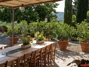 Ein Essbereich im Freien mit einem Holztisch und -stühlen, umgeben von Blumentöpfen und einer Pergola mit Lichterketten.