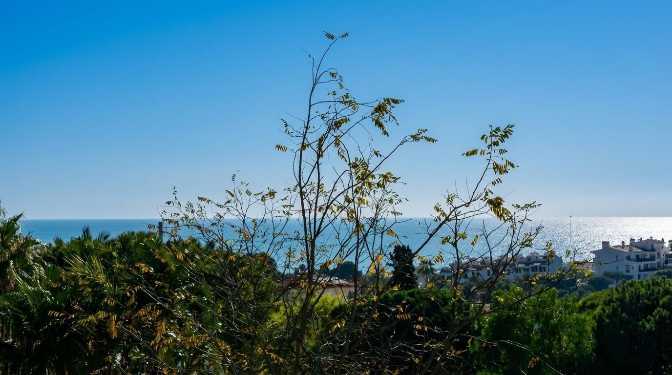 A coastal view with buildings in the background.