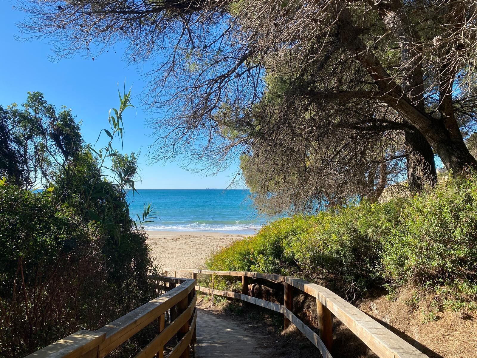 Playa en los alrededores 