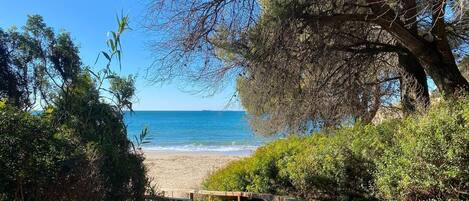 Playa en los alrededores