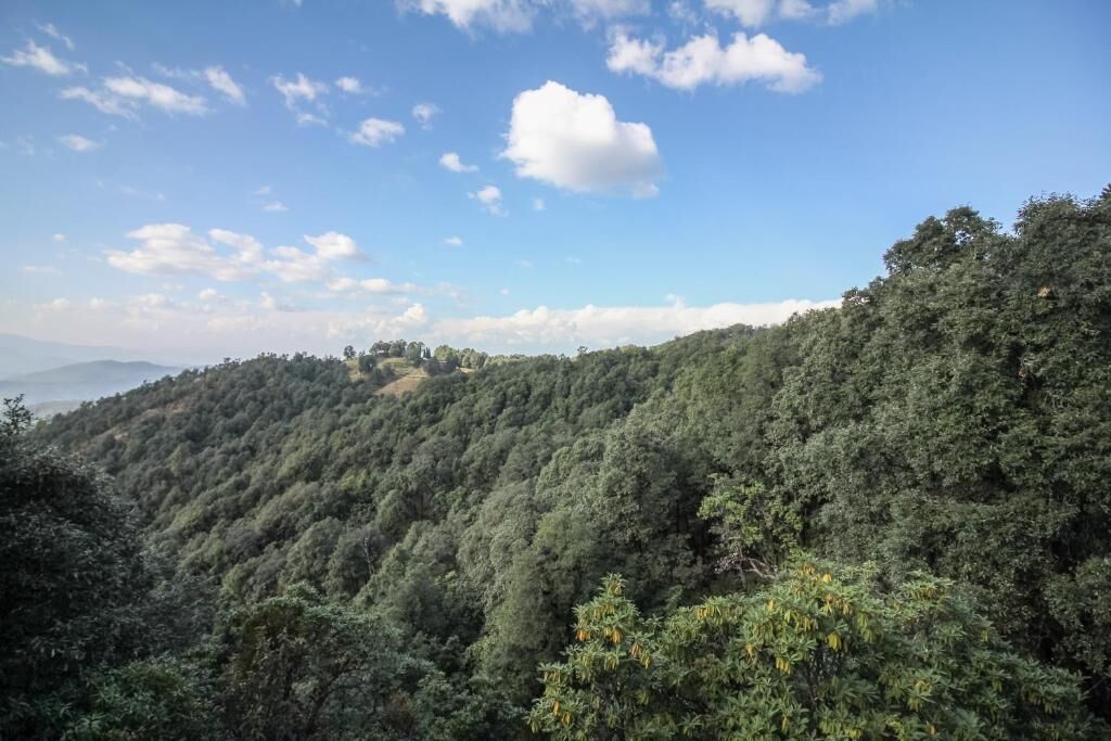 A mountainous landscape with dense forest vegetation and a clear sky.