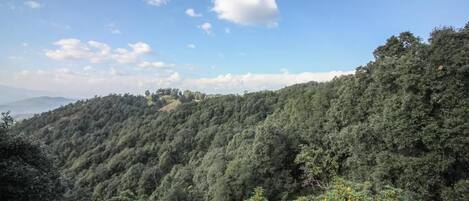 A mountainous landscape with dense forest vegetation and a clear sky.