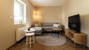 Un salon moderne avec un canapé, un téléviseur, une petite table, un tapis rond et une fenêtre laissant entrer la lumière naturelle.
