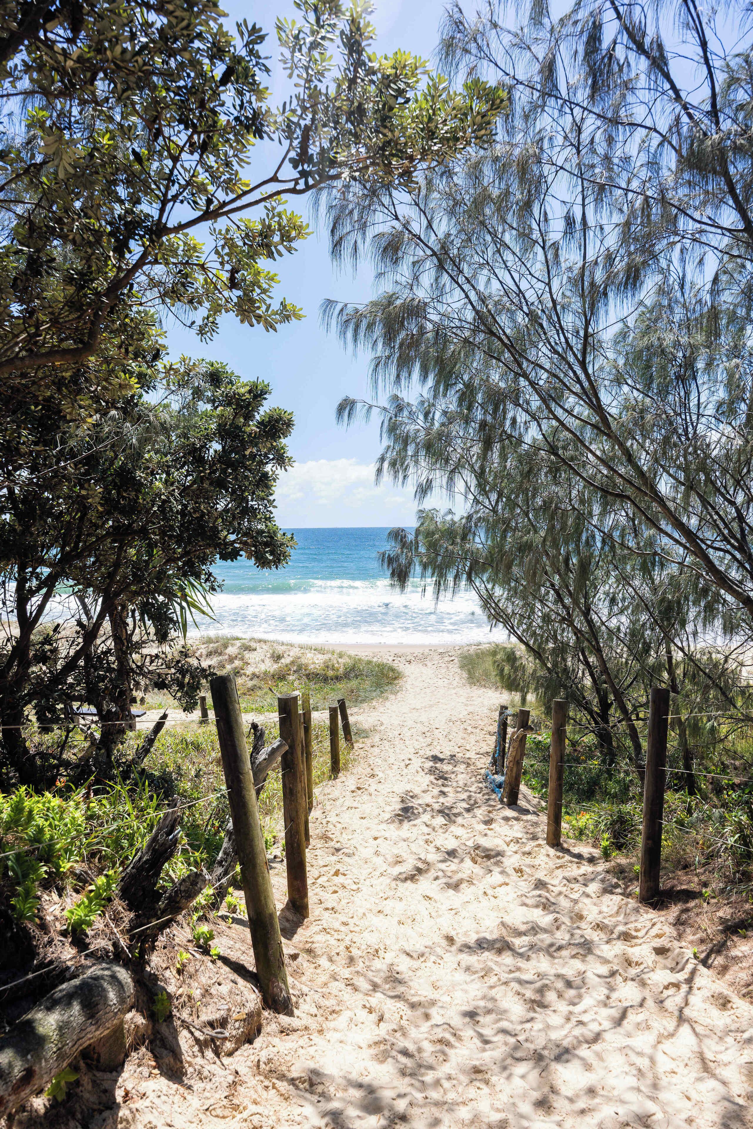 A sandy beach path with wooden posts, leading to the ocean.