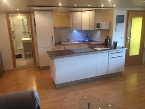 A compact kitchen with a microwave, sink, and cabinets. - Beautiful 65 m² 2-Room Apartment with Terrace and Garden (Niedereschach)