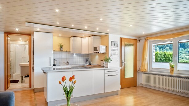 Private kitchen - Reiche Apartment “Sandra” – Spacious 2-Room Retreat with Terrace (Niedereschach)