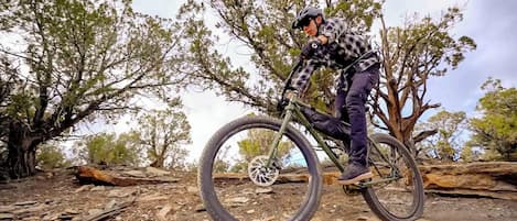 A person riding a mountain bike on a dirt trail with trees in the background.