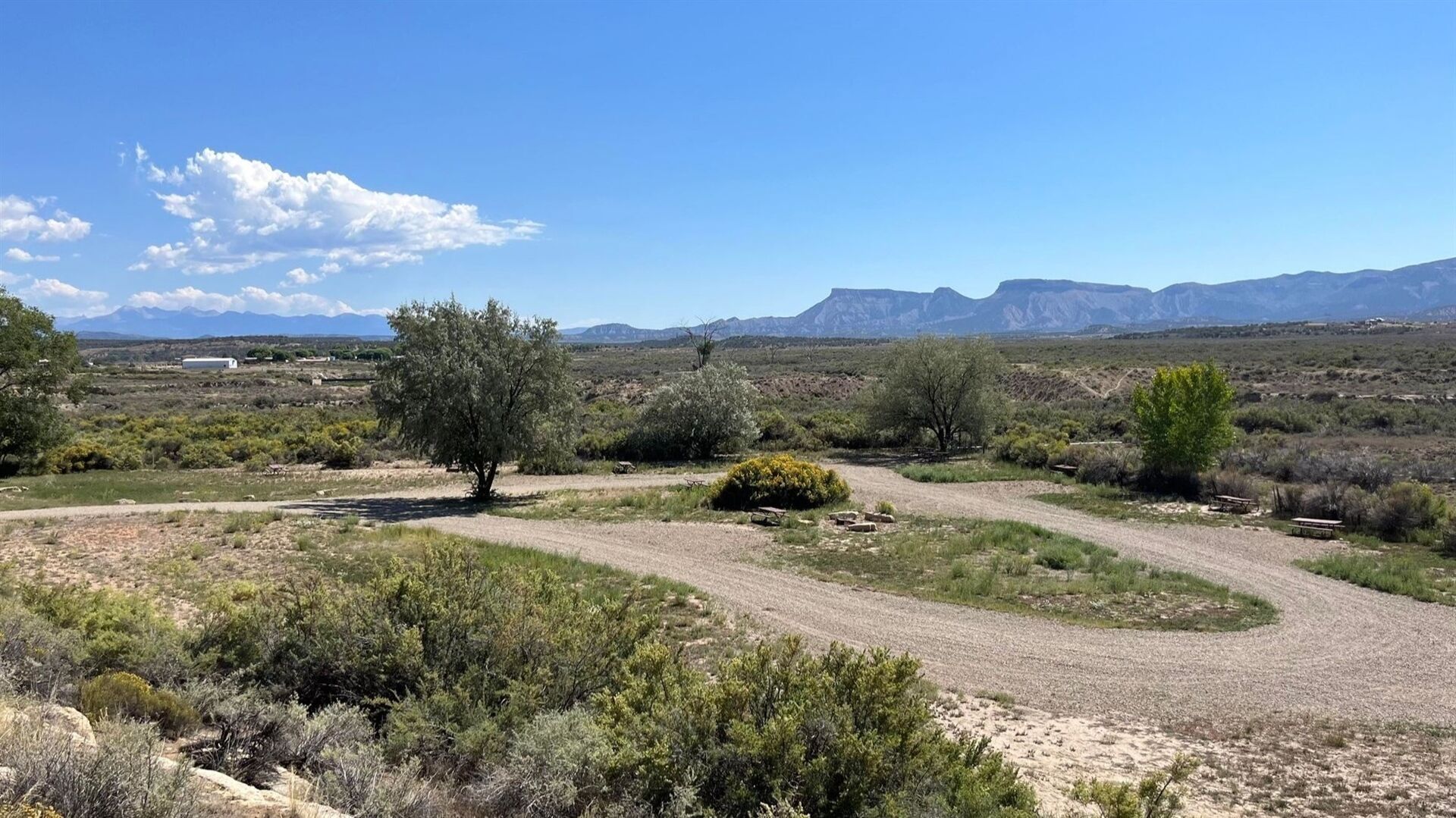 A desert landscape with sparse vegetation, a dirt road, and distant mountains.