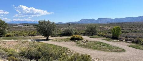 A desert landscape with sparse vegetation, a dirt road, and distant mountains.