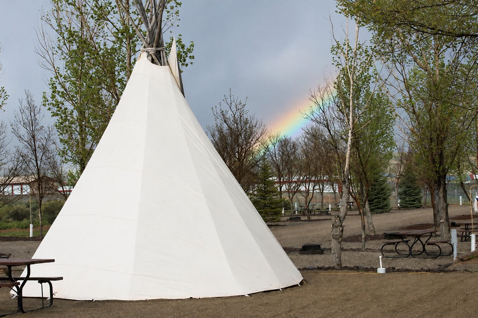 A white tent set up in an outdoor area with trees and a picnic table nearby.