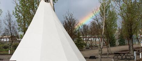 A white tent set up in an outdoor area with trees and a picnic table nearby.