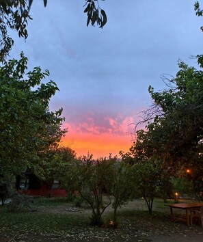 A sunset view with trees and a small building in the foreground. - A different kind of vacation on Çirali Beach in Antalya. (Ulupınar)