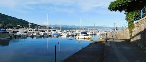 Marina