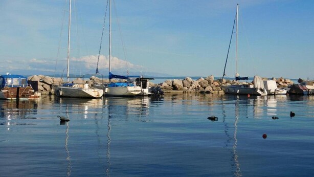 Un puerto deportivo con varios veleros amarrados, agua tranquila y una costa rocosa.