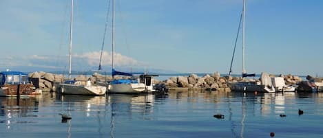 Marina