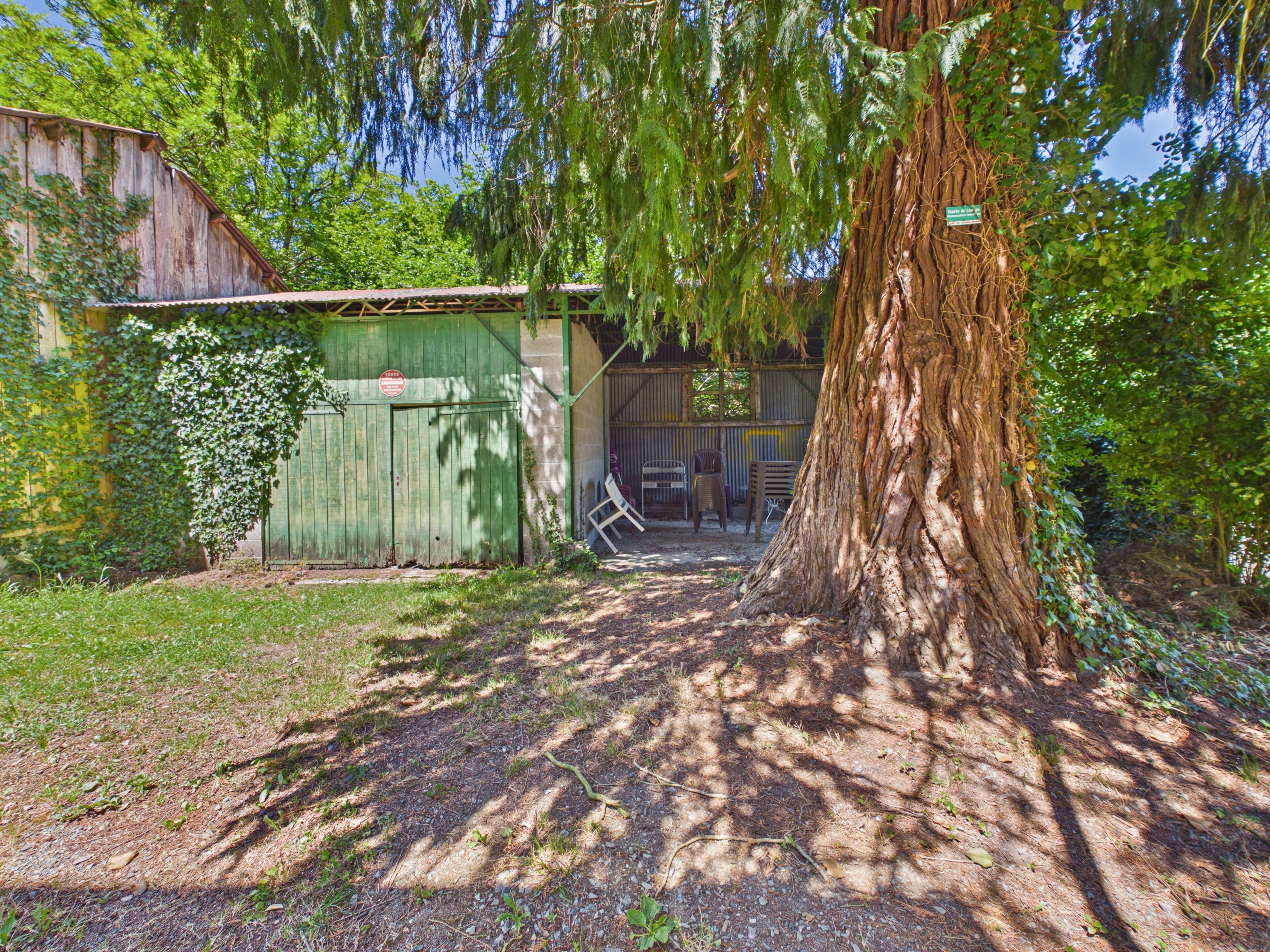 A rustic wooden building with a large tree in the foreground, a green fence, and a chair outside.