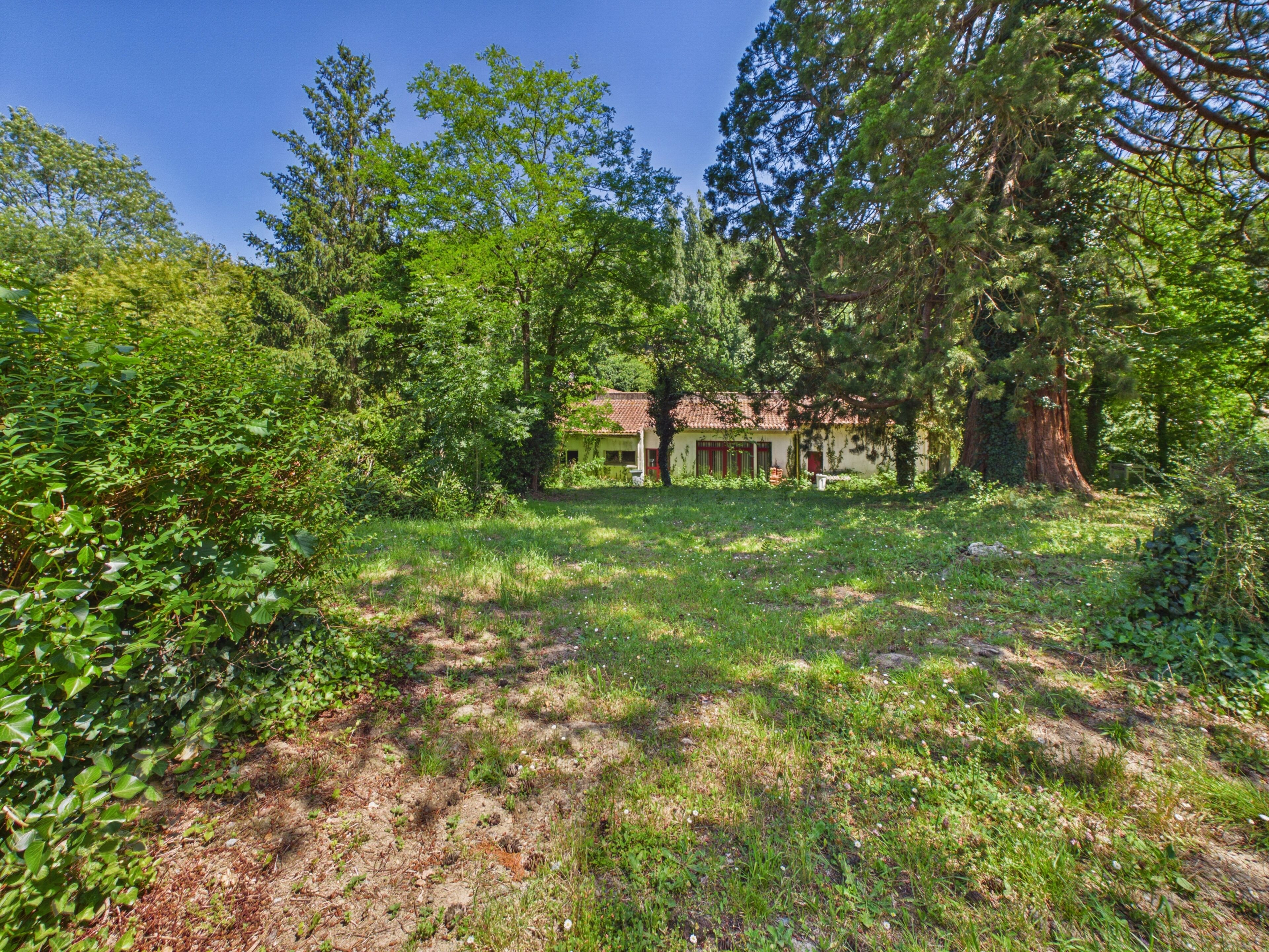 A rustic cabin surrounded by dense forest, with a clear sky above.