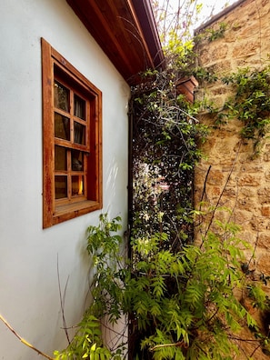 Esquina de un edificio con una ventana de madera y un muro de piedra parcialmente cubierto de plantas trepadoras.