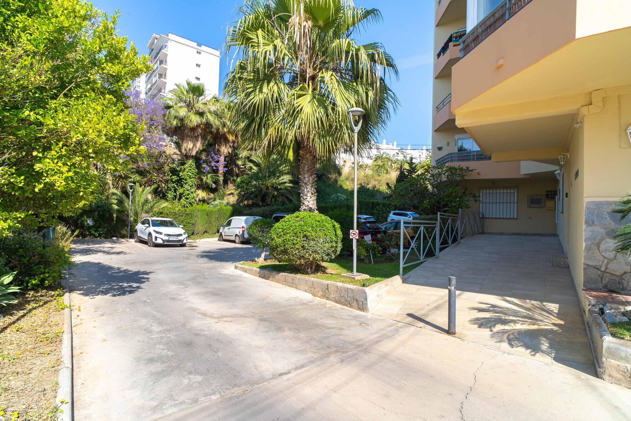 A residential area with a paved road, parked cars, a palm tree, and a building with balconies.