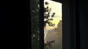 Unclassified image, 4 of 116, button - Isolated house nature parties allowed 24/24 (Grand Est)