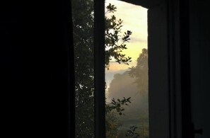 Interiør
