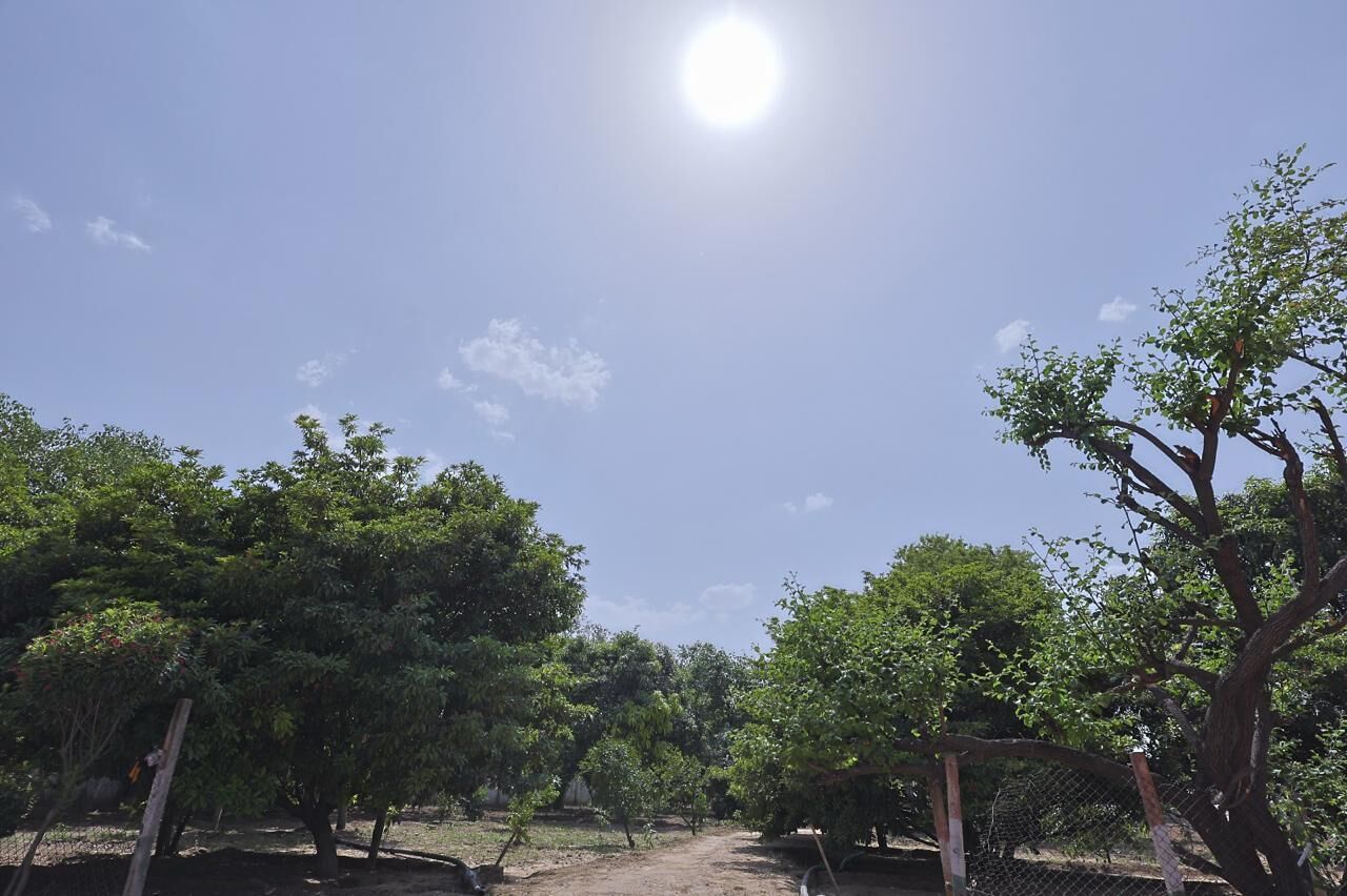 منوع