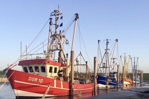 Ein rotes Boot mit dem Namen 'DOR 10' liegt an einem Steg, wo sich weitere Boote befinden.