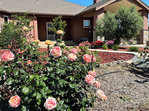 A residential building with a garden featuring rose bushes and various other plants.